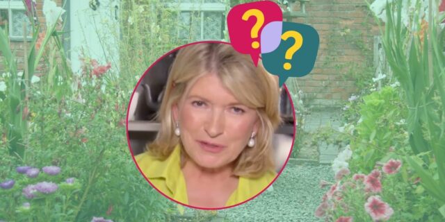 La Martha Stewart aesthetic è il trend dell'estate 2025. Ma chi è Martha Stewart?