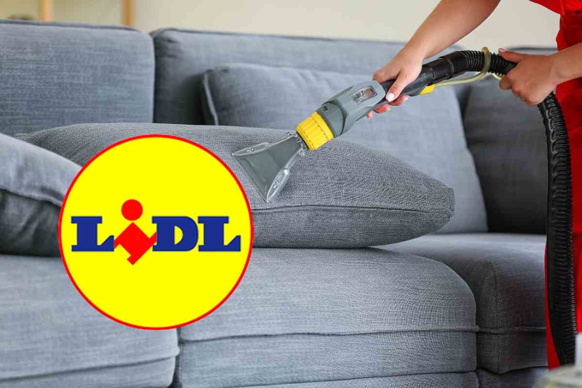 divani come nuovi con questo elettrodomestico lidl pazzesco ti sembrer224 un altro salotto da Robadadonne.it divani come nuovi con questo elettrodomestico lidl pazzesco ti sembrer224 un altro salotto