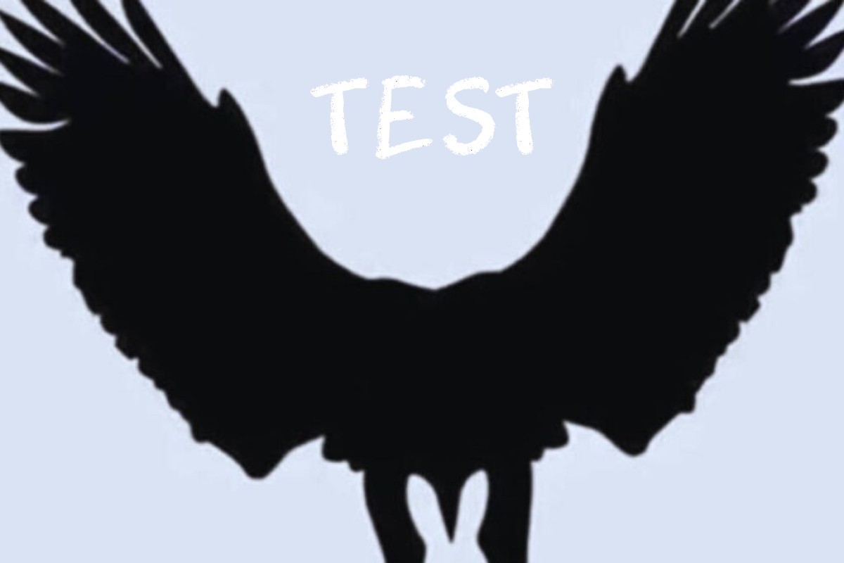 test immagine aquila coniglio