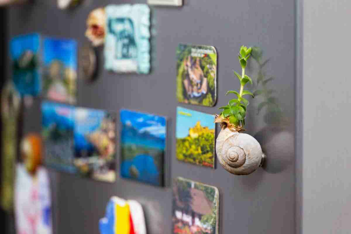 ecco perché le calamite sul frigo fanno consumare di più