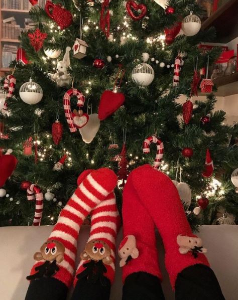 Lasciati ispirare dagli alberi di Natale e dalle decorazioni dei vip