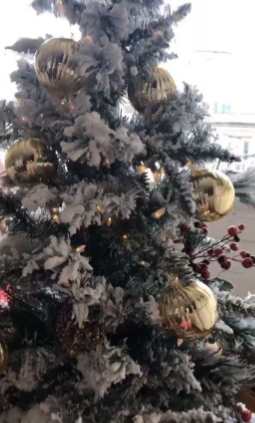 Lasciati ispirare dagli alberi di Natale e dalle decorazioni dei vip