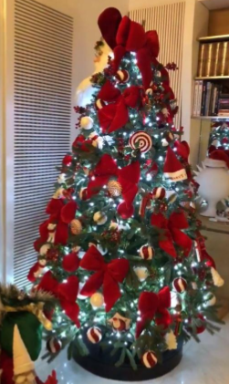 Lasciati ispirare dagli alberi di Natale e dalle decorazioni dei vip