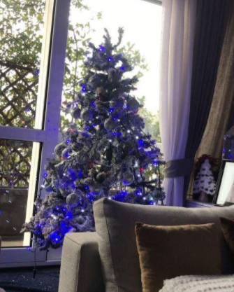 Lasciati ispirare dagli alberi di Natale e dalle decorazioni dei vip
