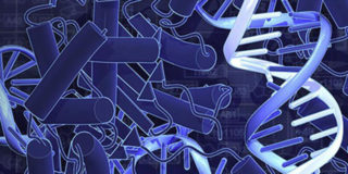 dna