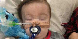 alfie evans