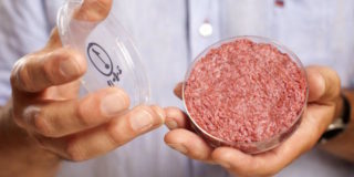 Gli hamburger sintetici saranno presto realtà: nei supermercati entro il 2021