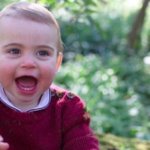 Il primo anno del principe Louis in 20 splendide foto