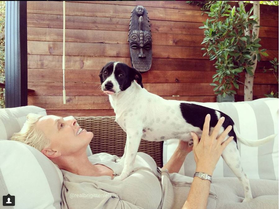 Brigitte Nielsen mamma a 54 anni: “Rispetto chi è scettico: io ho congelato gli ovuli”