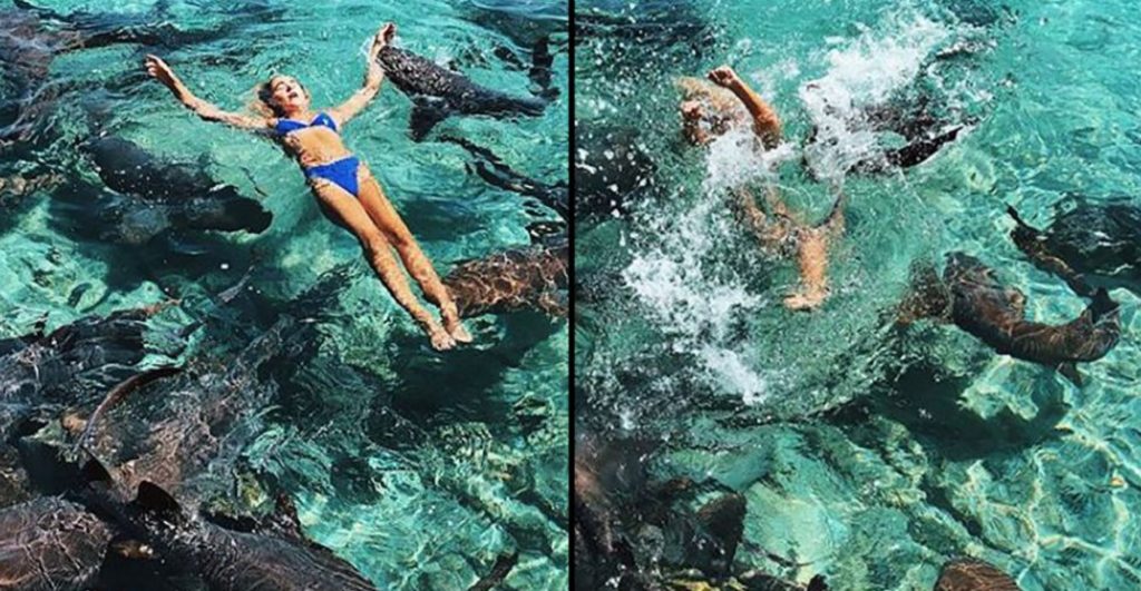 Influencer morsa da uno squalo: stava tentando lo scatto perfetto