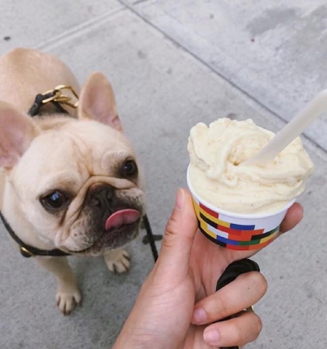 Cos'è il booza, il gelato gommoso che spopola a New York