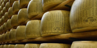parmigiano
