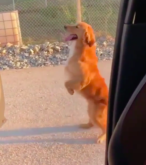 Kiki Challenge, l'ennesimo (e pericolosissimo) trend Instagram