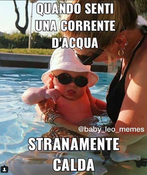 Anche Leone ha il suo account di meme come il piccolo George