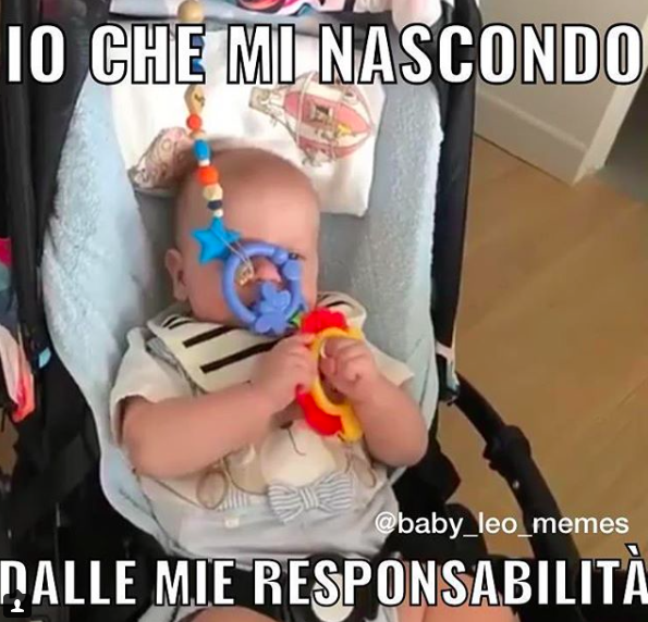 Anche Leone ha il suo account di meme come il piccolo George