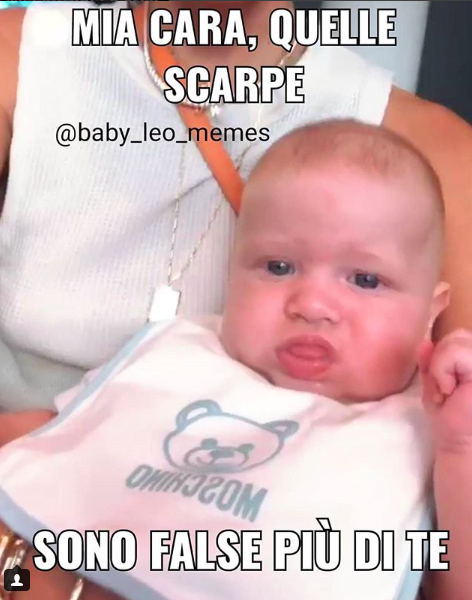 Anche Leone ha il suo account di meme come il piccolo George