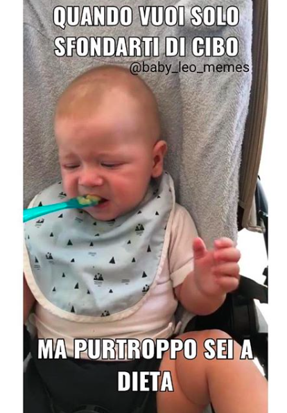 Anche Leone ha il suo account di meme come il piccolo George