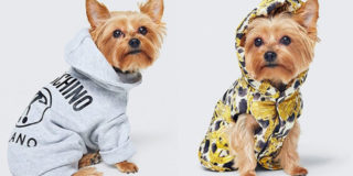 Moschino e H&M