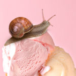 Arriva il gelato alla bava di lumaca