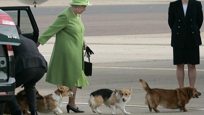 Il dolce e straziante motivo per cui la regina Elisabetta non avrà altri corgi