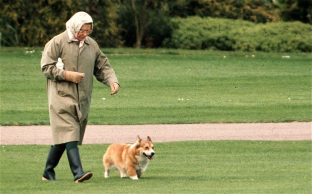 Il dolce e straziante motivo per cui la regina Elisabetta non avrà altri corgi