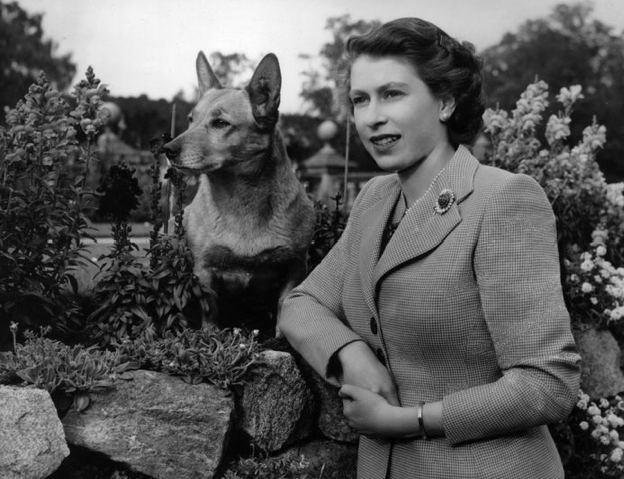 Il dolce e straziante motivo per cui la regina Elisabetta non avrà altri corgi