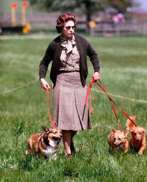 Il dolce e straziante motivo per cui la regina Elisabetta non avrà altri corgi