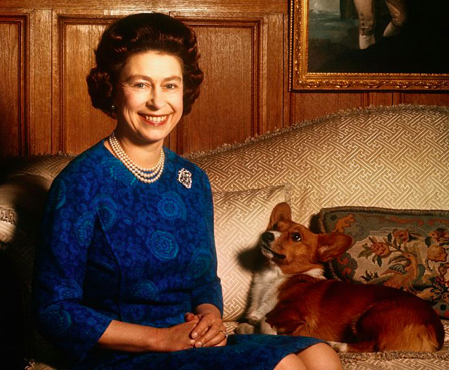 Il dolce e straziante motivo per cui la regina Elisabetta non avrà altri corgi