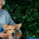 Il dolce e straziante motivo per cui la regina Elisabetta non avrà altri corgi