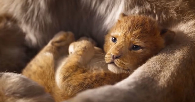 Il Re Leone: originale e live action a confronto in 16 scatti
