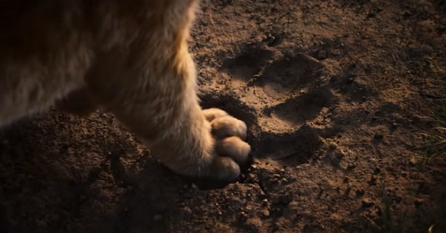 Il Re Leone: originale e live action a confronto in 16 scatti