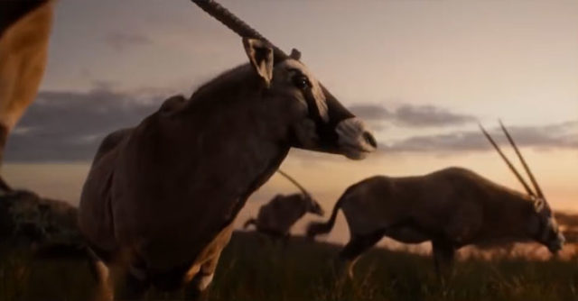 Il Re Leone: originale e live action a confronto in 16 scatti
