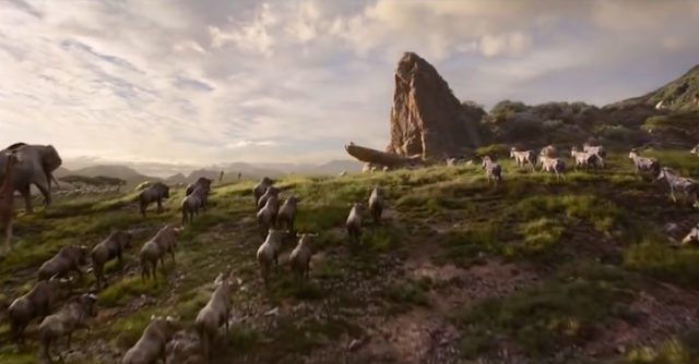 Il Re Leone: originale e live action a confronto in 16 scatti