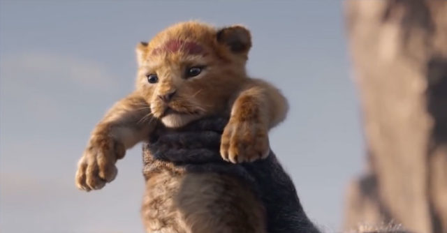 Il Re Leone: originale e live action a confronto in 16 scatti