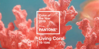 living coral colore pantone 2019