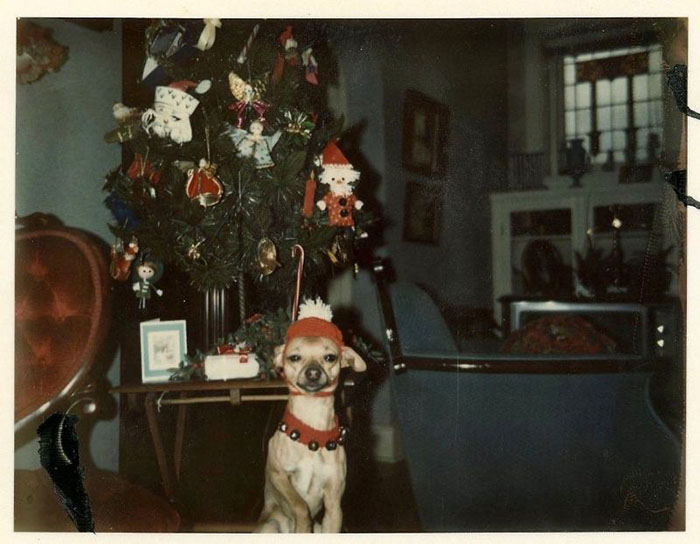 30 foto di decorazioni natalizie degli Anni '50-60 che mostrano quanto siamo cambiati