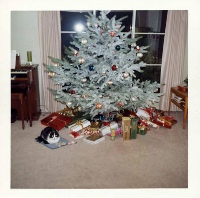 30 foto di decorazioni natalizie degli Anni '50-60 che mostrano quanto siamo cambiati
