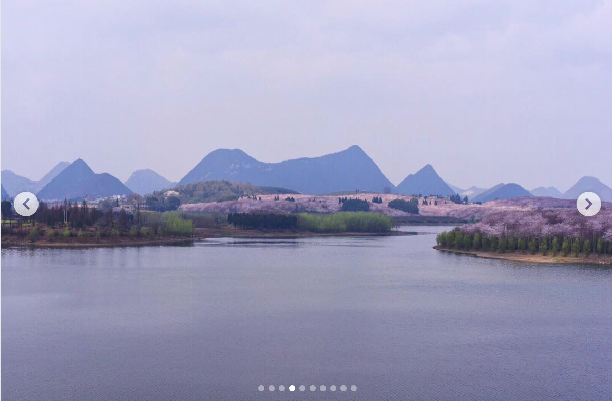 Lo spettacolo magnetico della fioritura dei ciliegi in Cina