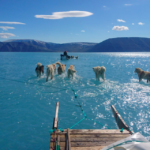 Le cose da sapere (vere) riguardo alla foto "simbolo" del riscaldamento globale