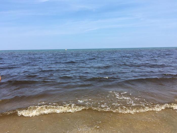 Da Milano a Rimini, perché l’acqua diventa rossa: i rischi o meno dell’alga