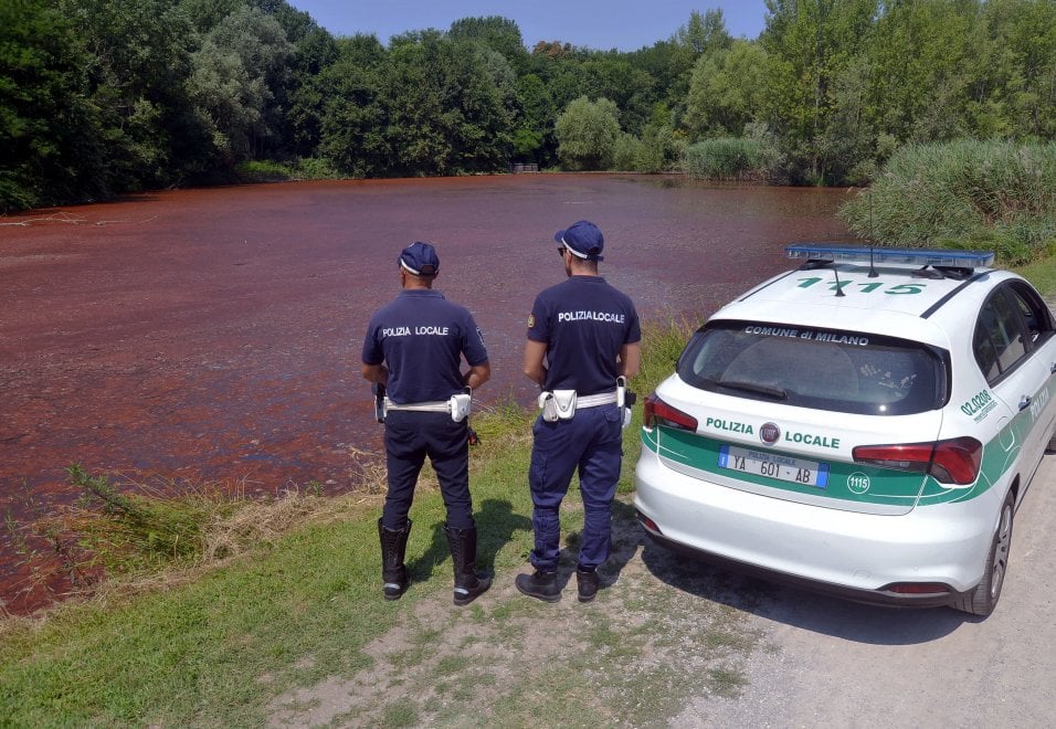 Da Milano a Rimini, perché l’acqua diventa rossa: i rischi o meno dell’alga