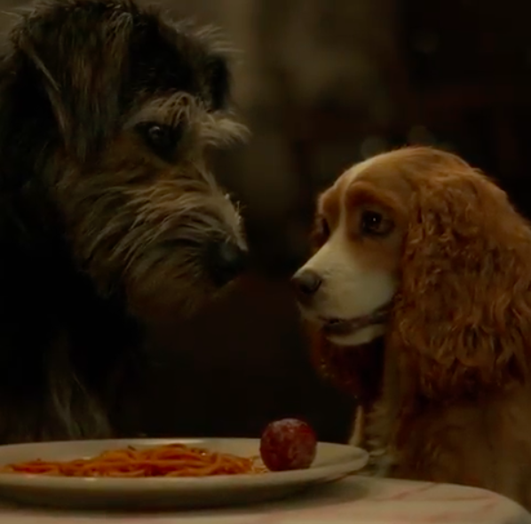 La commovente storia di Monte, che sarà Biagio nel live action di Lilli e il Vagabondo