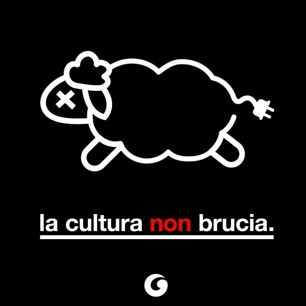 Libreria Pecora Elettrica: chi brucia i libri è un vile e un codardo
