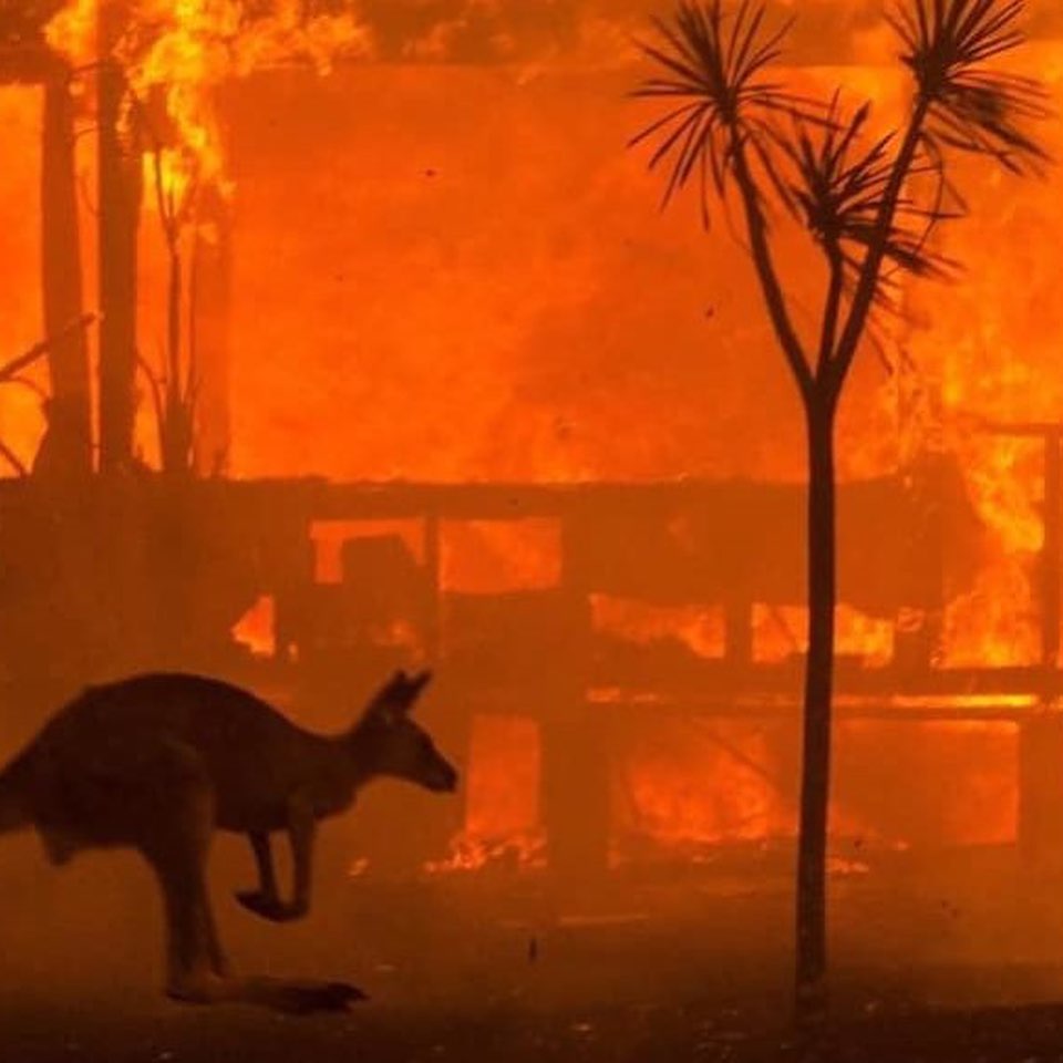 L'Australia che brucia in 14 immagini e nell'addio della piccola Charlotte a papà