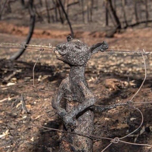 L'Australia che brucia in 14 immagini e nell'addio della piccola Charlotte a papà