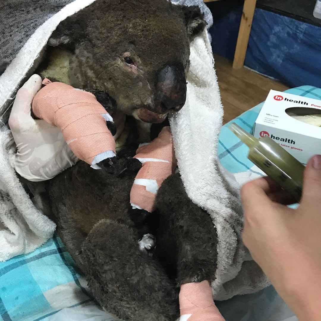 L'Australia che brucia in 14 immagini e nell'addio della piccola Charlotte a papà