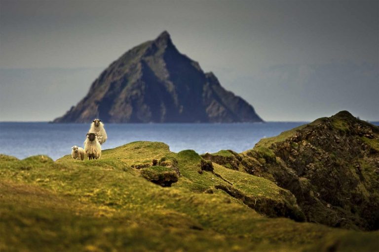 Cercasi custodi per un'isola (semi)deserta: come candidarsi