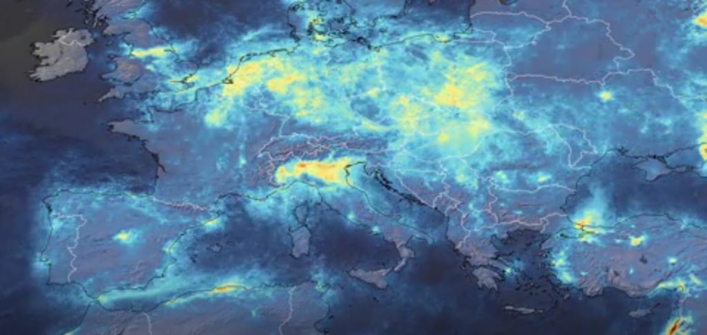Gli effetti ambientali del Coronavirus: scimmie, anatre e lepri ripopolano le città