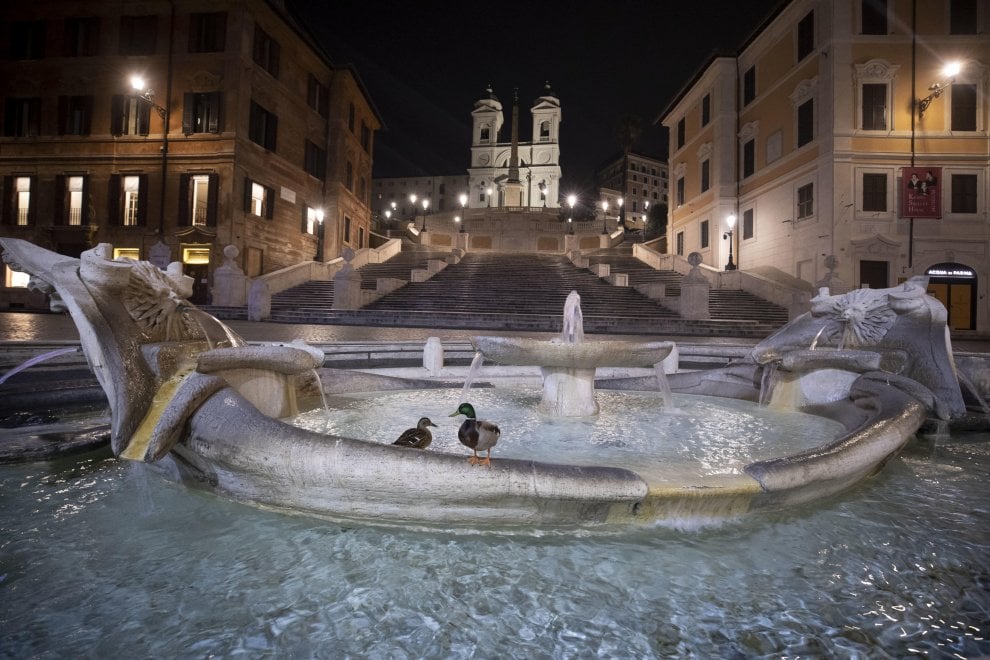 Gli effetti ambientali del Coronavirus: scimmie, anatre e lepri ripopolano le città