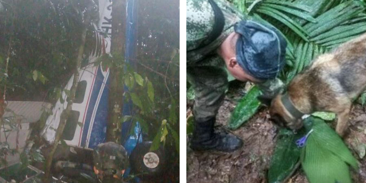 Precipitati nella giungla 3 bimbi e un neonato sono stati ritrovati